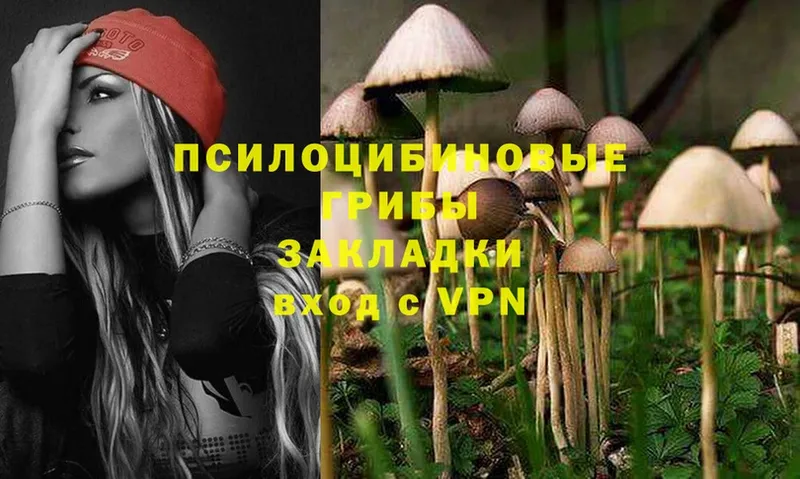 дарнет шоп  это какой сайт  Псилоцибиновые грибы MAGIC MUSHROOMS  Иннополис 